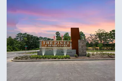 10747 Sora Drive, Willis, TX 77378 - Photo 3