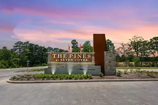 10747 Sora Dr, Willis, TX 77378 - Photo 3