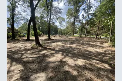 19626 Forest Dr W Drive, New Caney, TX 77357 - Photo 1