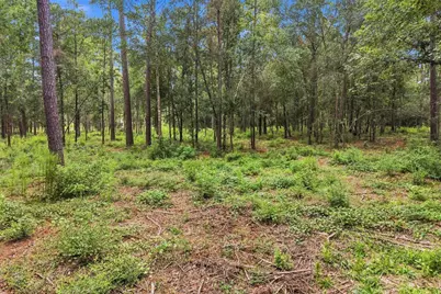 15890 Four Hills Road, Willis, TX 77378 - Photo 7
