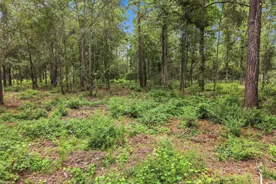 15890 Four Hills Road, Willis, TX 77378 - Photo 9