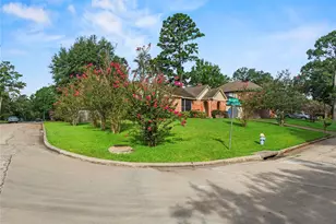 25703 Mill Pond Ln, Spring, TX 77373 - Photo 21