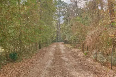 3027 Pine Acres Drive, Conroe, TX 77384 - Photo 7