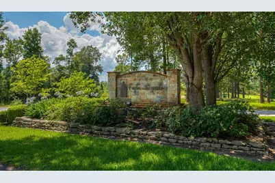 59 S Pine Harbour Drive, Coldspring, TX 77331 - Photo 3