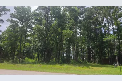 12602 Marshall Drive, Magnolia, TX 77354 - Photo 3