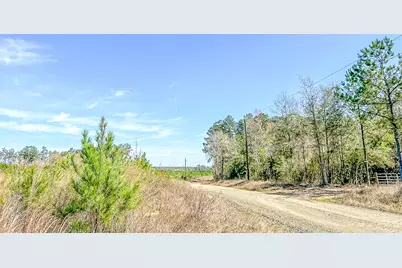 00000 County Rd 4415, Spurger, TX 77660 - Photo 9