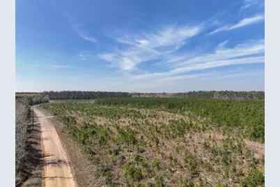 00000 County Rd 4415, Spurger, TX 77660 - Photo 3