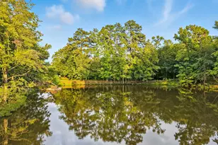 179 Springlake Dr, Gladewater, TX 75647 - Photo 49