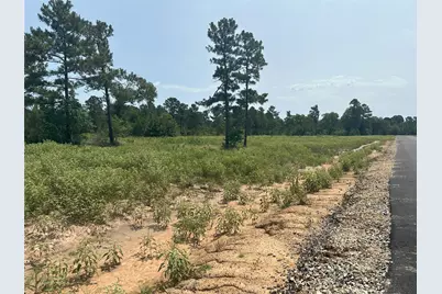 31839 Boone Road, Waller, TX 77484 - Photo 9