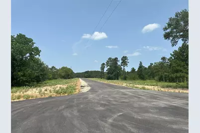 31839 Boone Road, Waller, TX 77484 - Photo 15