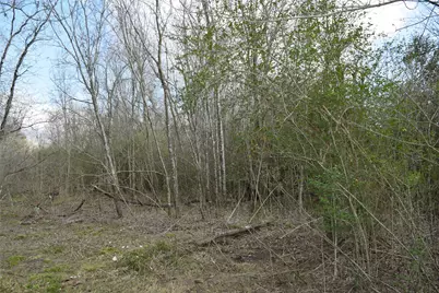 0 Herridge/Cr 827, Pearland, TX 77581 - Photo 5