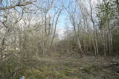 0 Herridge/Cr 827, Pearland, TX 77581 - Photo 7