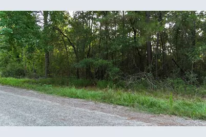 Tbd Whiteside Drive, Onalaska, TX 77360 - Photo 9