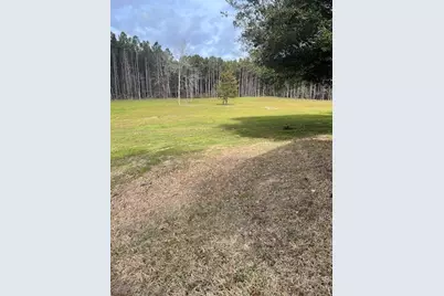 335 Walding Road, Livingston, TX 77351 - Photo 11