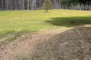 335 Walding Rd, Livingston, TX 77351 - Photo 11