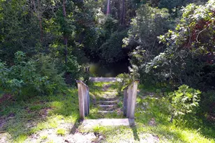 91 Bluejay Way, Cleveland, TX 77327 - Photo 11