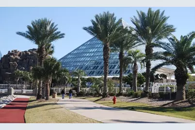 7000 Seawall Boulevard #411, Galveston, TX 77551 - Photo 29