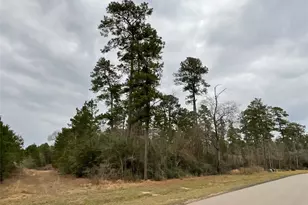 15877 Four Hls Rd, Willis, TX 77378 - Photo 5