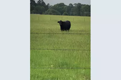 0000 Kimberly Trace, Conroe, TX 77304 - Photo 5