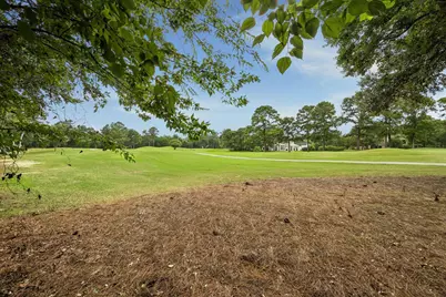 48 Autumn Crescent, The Woodlands, TX 77381 - Photo 49