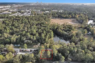 1298 Hope Rd, Conroe, TX 77384 - Photo 21