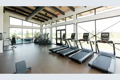 10711 Dogwood Sky Drive, Beasley, TX 77417 - Photo 29