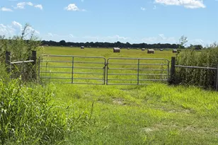 0 County Road 170, Alvin, TX 77511 - Photo 1