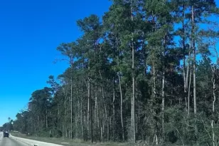15909 Hwy 105 E, Conroe, TX 77306 - Photo 1