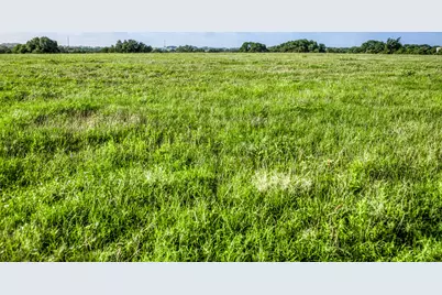 Tract 12 S Nassau Road, Round Top, TX 78954 - Photo 5