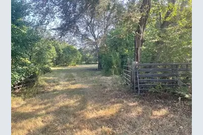 940 Bill Jones Road, Groveton, TX 75845 - Photo 7