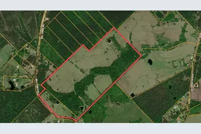 940 Bill Jones Road, Groveton, TX 75845 - Photo 11