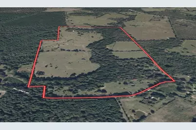 940 Bill Jones Road, Groveton, TX 75845 - Photo 9