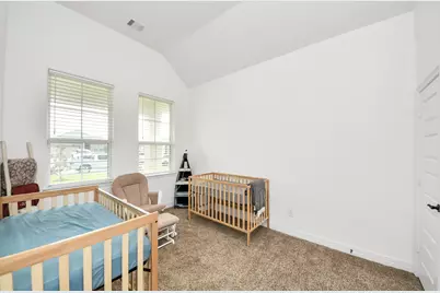 111 Alder Loop, Anahuac, TX 77514 - Photo 43