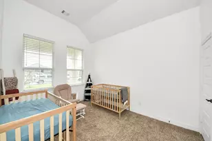 111 Alder Loop, Anahuac, TX 77514 - Photo 43
