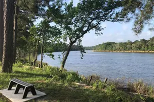 245 Torrey Bloom Loop, Conroe, TX 77304 - Photo 27