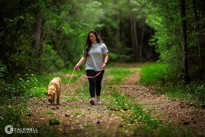 9511 Sierra Crest Lane, Porter, TX 77365 - Photo 25