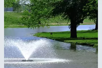 33202 Woodton Court, Fulshear, TX 77441 - Photo 5