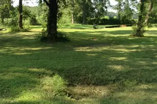 26340 Blackberry Ln, New Caney, TX 77357 - Photo 5