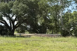 Tbd3 Farm To Market Road 532, Weimar, TX 78962 - Photo 1