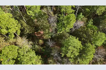 160 Nina Trail, Trinity, TX 75862 - Photo 1