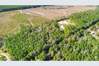 1460 Galahad Loop Road, Woodville, TX 75979 - Photo 11