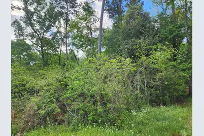 27540 Fm 2090, Splendora, TX 77372 - Photo 7