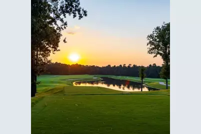 8752 Mancos Valley Court, Porter, TX 77365 - Photo 17