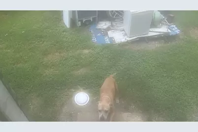 7600 Wileyvale Road, Houston, TX 77016 - Photo 17