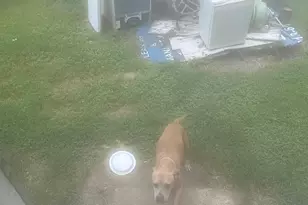 7600 Wileyvale Rd, Houston, TX 77016 - Photo 17