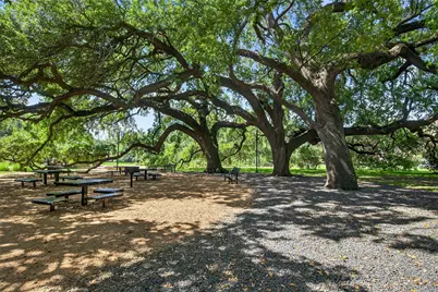 1706 Elgin Street, Houston, TX 77004 - Photo 37