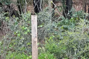 11694 Grand N Rd, Willis, TX 77378 - Photo 9