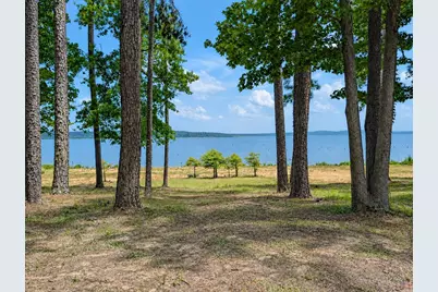 636 Campoli Road, Etoile, TX 75944 - Photo 3