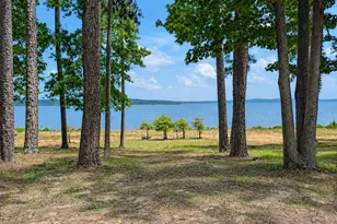 636 Campoli Rd, Etoile, TX 75944 - Photo 3