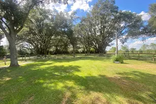 7834 County Rd 255, Damon, TX 77430 - Photo 9